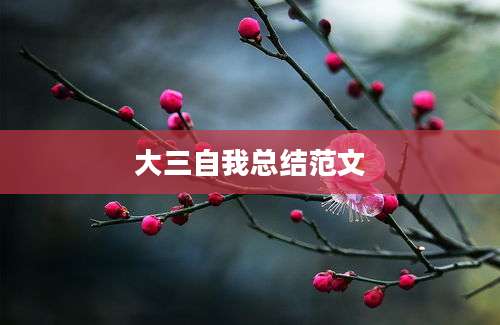 大三自我总结范文