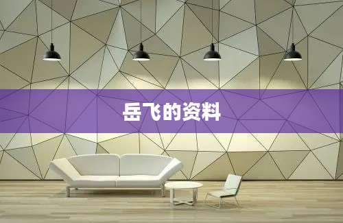 岳飞的资料