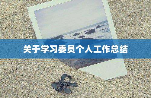 关于学习委员个人工作总结