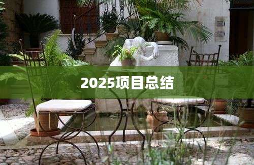 2025项目总结