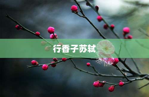 行香子苏轼