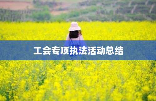 工会专项执法活动总结