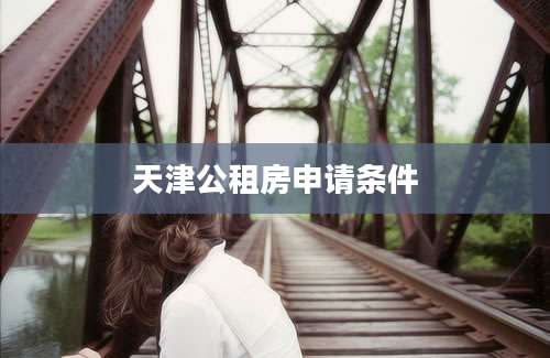 天津公租房申请条件