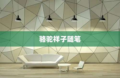骆驼祥子随笔