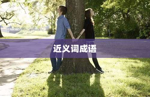近义词成语