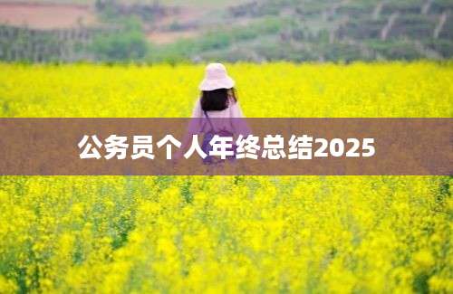 公务员个人年终总结2025