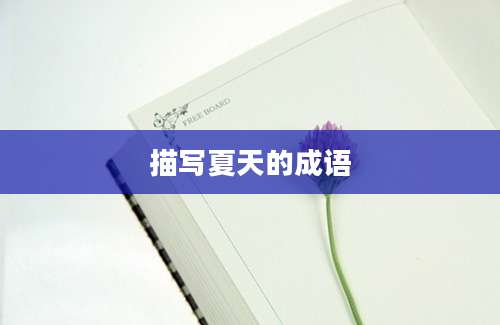 描写夏天的成语