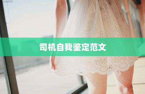 司机自我鉴定范文