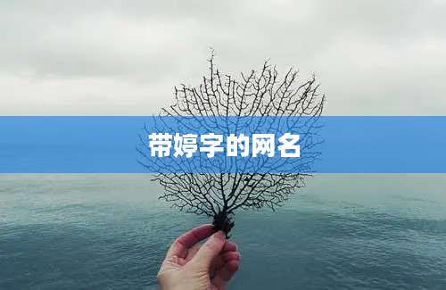 带婷字的网名