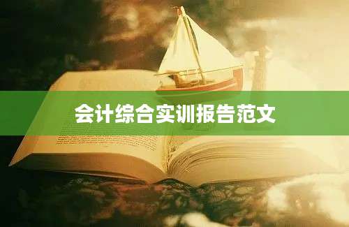 会计综合实训报告范文