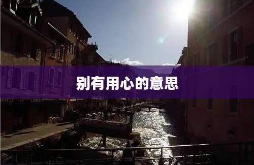 别有用心的意思