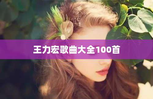 王力宏歌曲大全100首