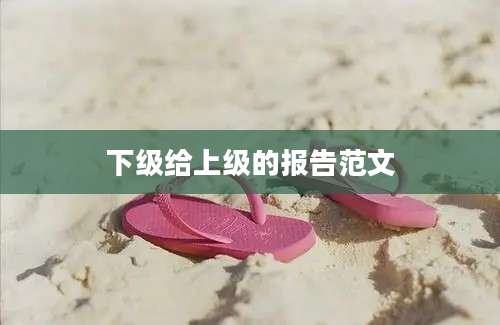 下级给上级的报告范文