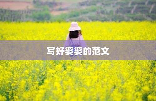 写好婆婆的范文