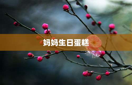 妈妈生日蛋糕