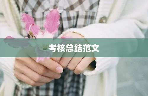 考核总结范文