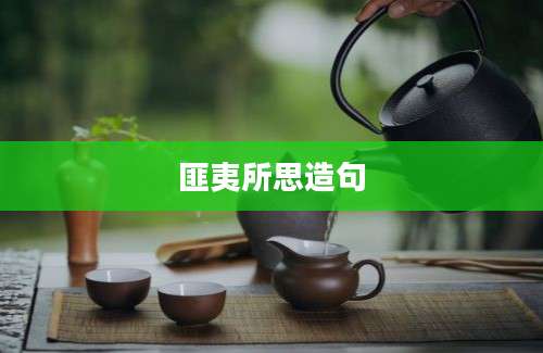 匪夷所思造句