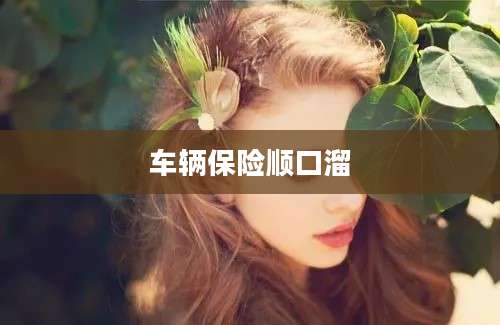 车辆保险顺口溜