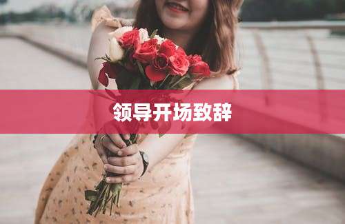领导开场致辞