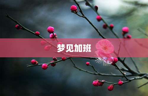 梦见加班
