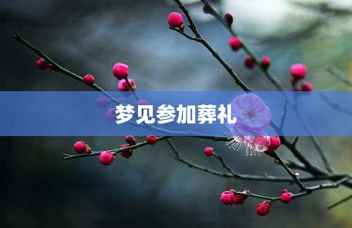 梦见参加葬礼