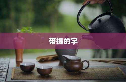带提的字