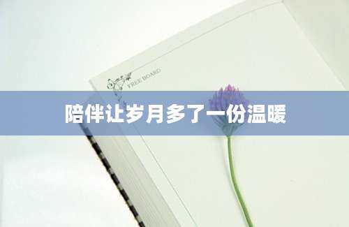 陪伴让岁月多了一份温暖