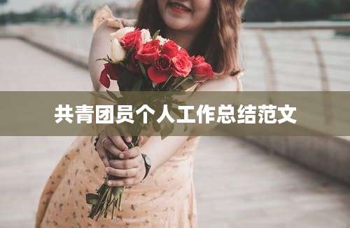 共青团员个人工作总结范文