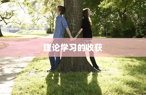 理论学习的收获
