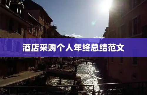 酒店采购个人年终总结范文