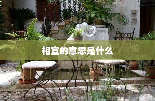 相宜的意思是什么