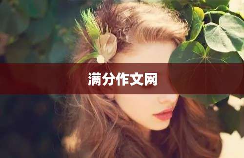 满分作文网
