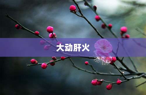 大动肝火
