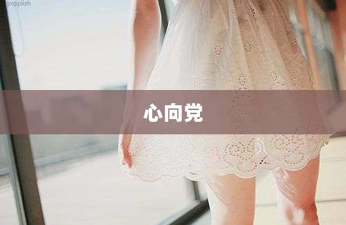 心向党