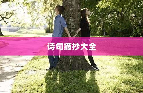 诗句摘抄大全