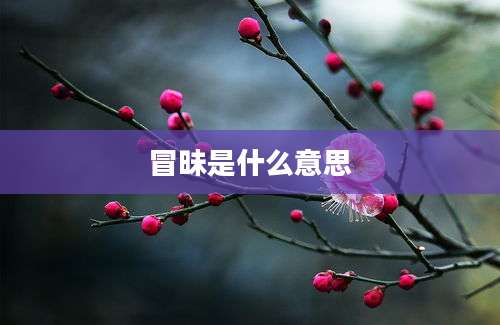 冒昧是什么意思