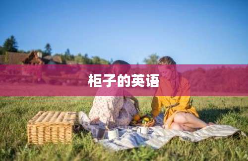 柜子的英语
