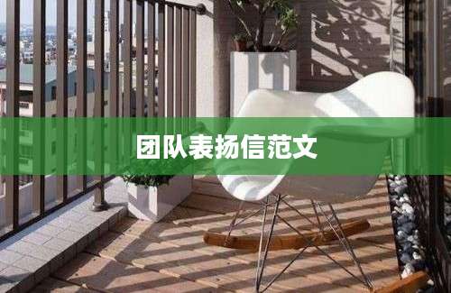 团队表扬信范文
