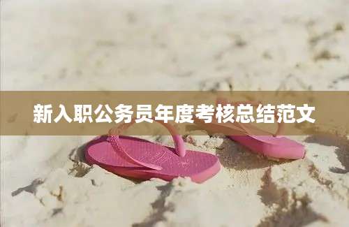 新入职公务员年度考核总结范文