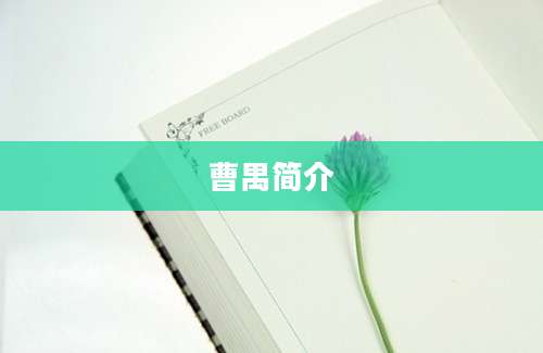 曹禺简介