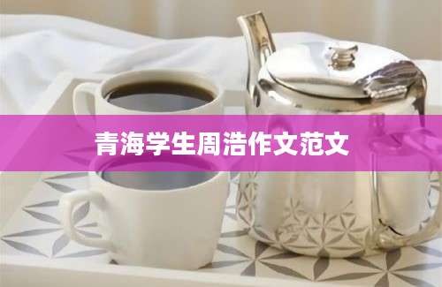 青海学生周浩作文范文