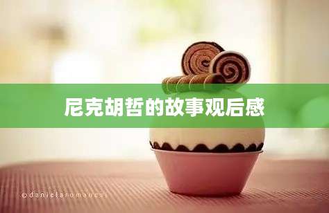 尼克胡哲的故事观后感