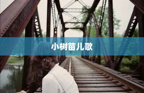 小树苗儿歌
