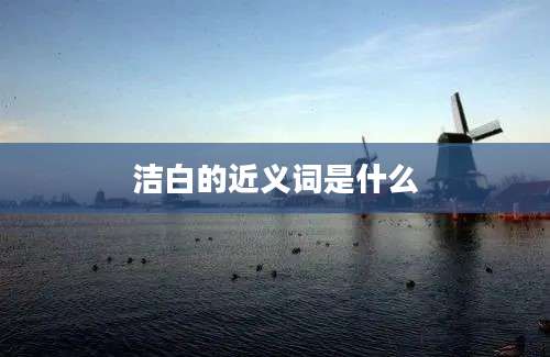 洁白的近义词是什么