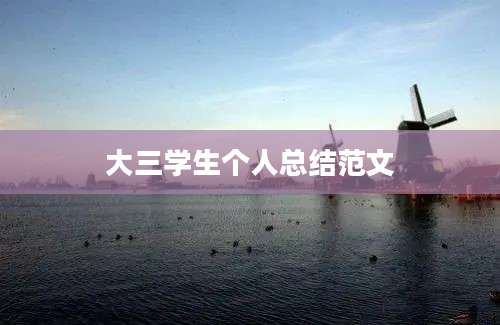 大三学生个人总结范文