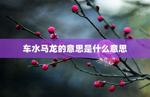 车水马龙的意思是什么意思