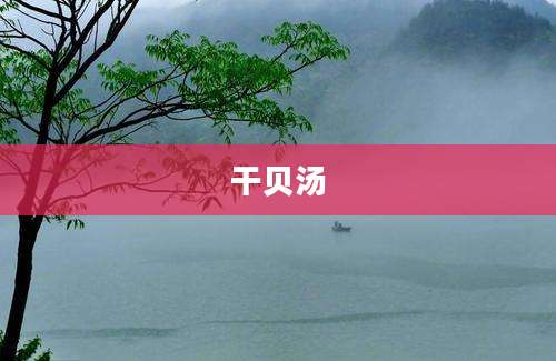 干贝汤