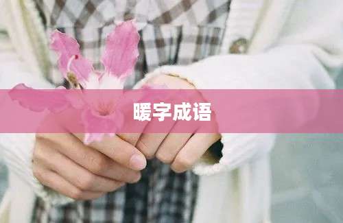 暖字成语