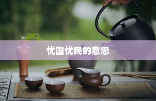 忧国忧民的意思