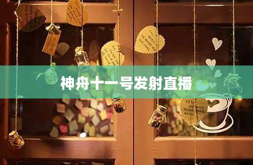 神舟十一号发射直播